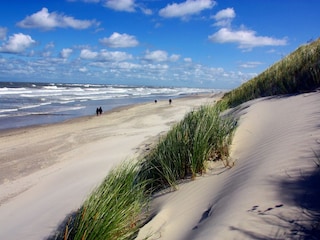 Am Strand