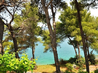 Appartamento Slatine Ambiente 24