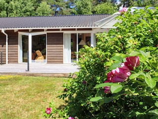 Ferienhaus Læsø  17