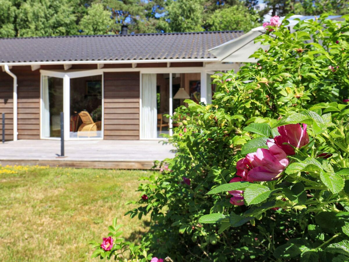 Vakantiehuis Læsø  7