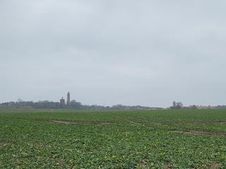 Putgarten mit Blick zum Kap Arkona