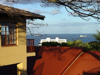 Umbrella Tree Cottage overlooking the sea