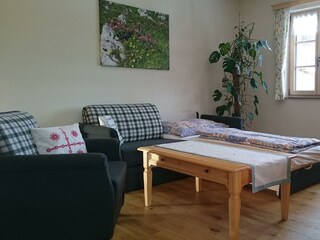 Appartamento Bad Mitterndorf Registrazione all'aperto 12