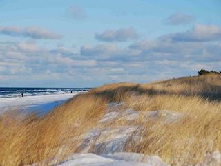 Nordstrand im Winter