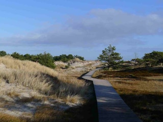 Weg zum Weststrand