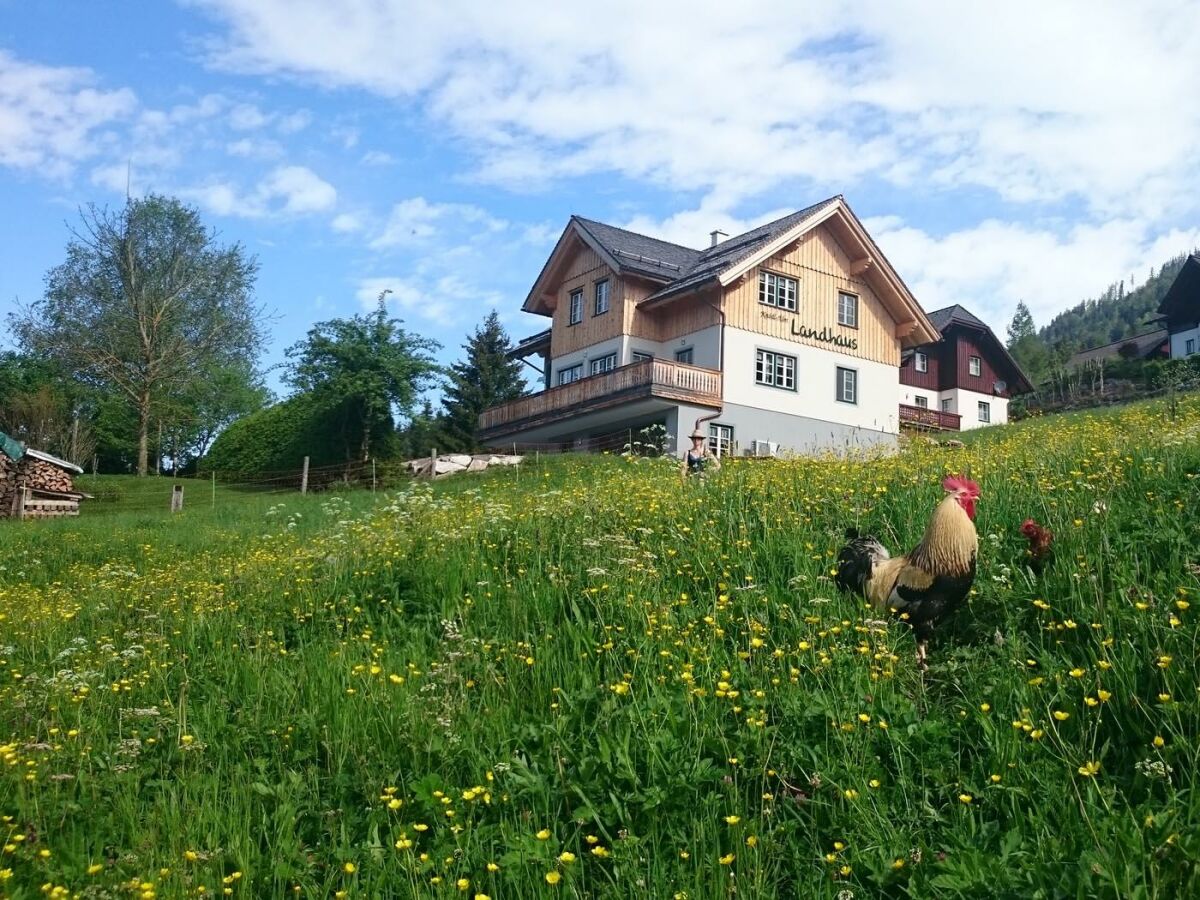 Apartamento Pichl-Kainisch Grabación al aire libre 1