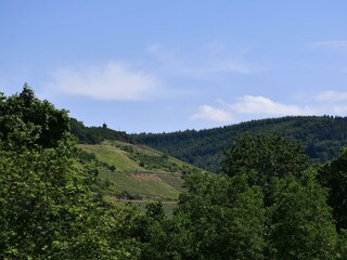 Appartamento Zell Mosel Caratteristiche 21