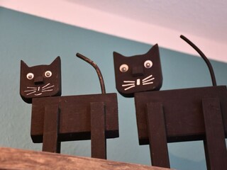 Appartamento Zell Mosel Caratteristiche 13