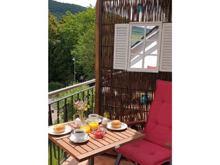 Appartamento Zell Mosel Caratteristiche 14