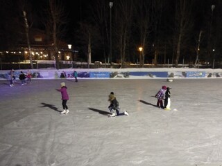 Appartamento per vacanze Hippach Ambiente 18