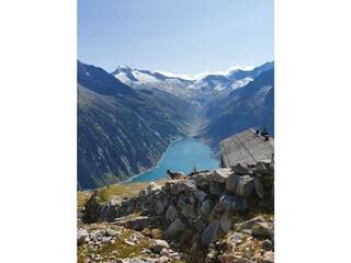 Appartamento per vacanze Hippach Ambiente 29