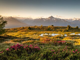 Appartamento per vacanze Hippach Ambiente 34