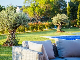 Villa Baderna Caratteristiche 36