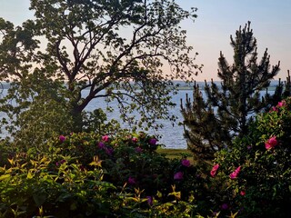 Terrasse Wasserblick