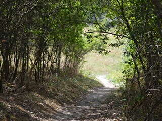 Spazierweg in der Umgebung