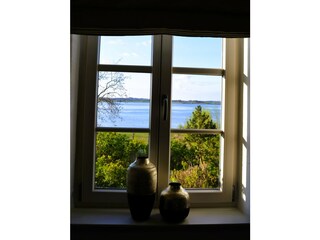 Blick aus dem Wohnzimmer