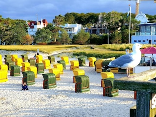 Strand Binz