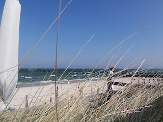 Sommerfeeling am Strand