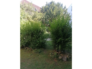 Ferienwohnung Lübeck-Altstadt Außenaufnahme 9