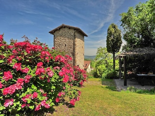Holiday house Castel San Niccolo Outdoor Recording 1