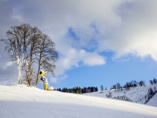 Apartamento de vacaciones Winterberg Entorno 25