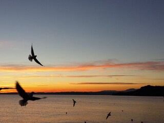 Apartamento de vacaciones Manerba del Garda Entorno 52