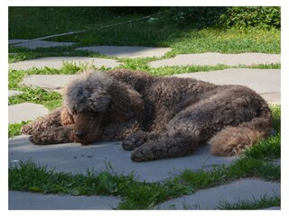 Appartamento per vacanze Udine Registrazione all'aperto 11