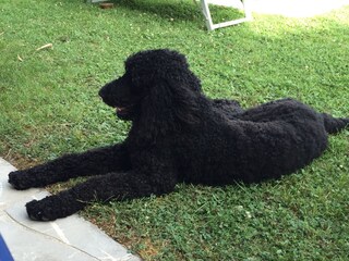 Appartamento per vacanze Udine Registrazione all'aperto 15