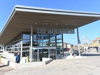 Maison de vacances Egmond aan den Hoef Environnement 44