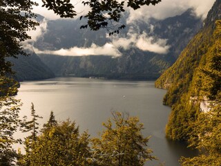Blick in den Königssee vom Malerwinkelrundweg