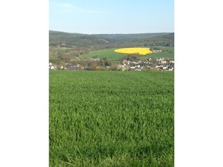 Appartamento per vacanze Gemünden im Hunsrück Ambiente 18