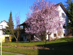 Apartment StiFi - Lappersdorf - image1