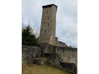 Burgruine Altnußberg