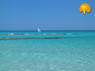 Apartment Cala Liberotto  25