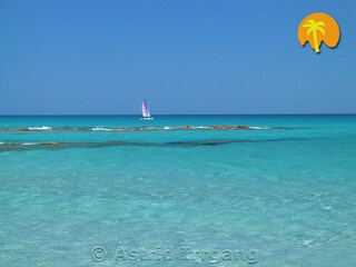 Appartamento Cala Liberotto Caratteristiche 24