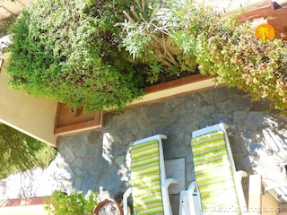 Apartment Cala Liberotto Environment 7