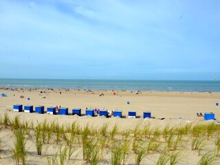 Vakantieappartement Castricum Omgeving 17