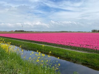 Vakantieappartement Castricum Omgeving 21