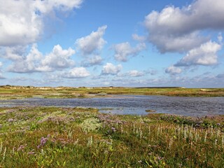 Appartamento per vacanze De Cocksdorp Ambiente 21