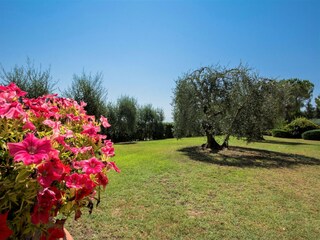 Farmhouse Certaldo Outdoor Recording 17