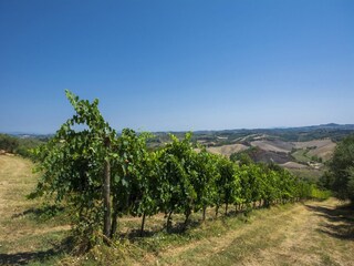 Fattoria Certaldo Ambiente 29
