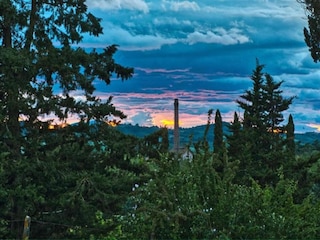 Fattoria Certaldo Ambiente 30