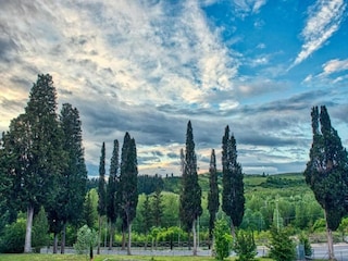 Fattoria Certaldo Ambiente 32