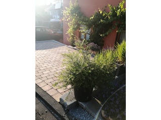 Holiday apartment Meersburg Outdoor Recording 8