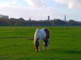 Blick auf Borkum