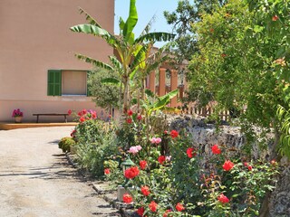 Cottage Santa Margalida Outdoor Recording 14