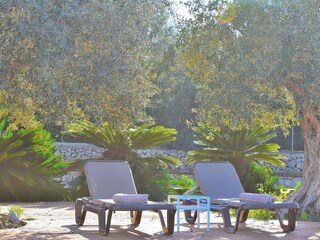 Cottage Sineu Outdoor Recording 11