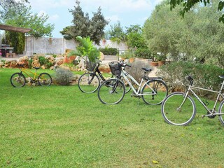 Cottage Manacor Outdoor Recording 17
