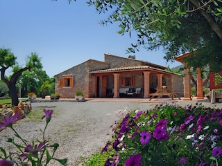 Cottage Alcudia Outdoor Recording 12
