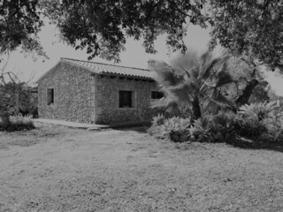 Cottage Búger Outdoor Recording 11
